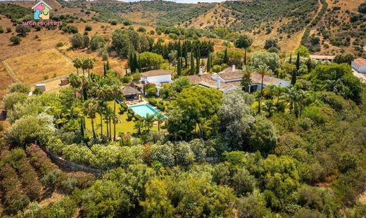 Maison de luxe à vendre à Sotogrande, 3 950 000 €, Photo 1