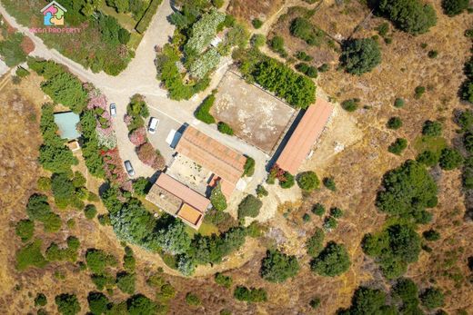 Maison de luxe à vendre à Sotogrande, 3 950 000 €, Photo 7