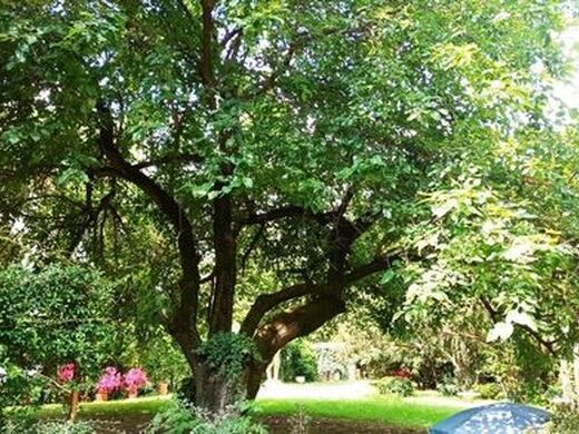 Luxury House for sale in Treviso, 690 000 €, Photo 7