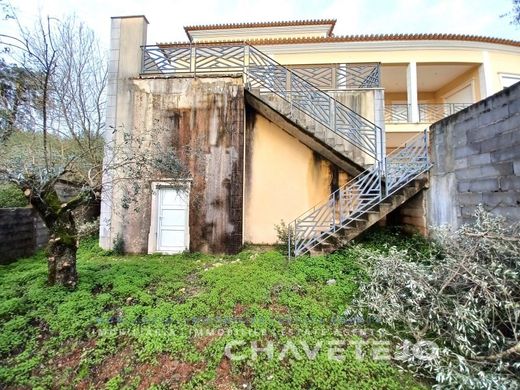 Maison de luxe à vendre à Tomar, 430 000 €, Photo 6