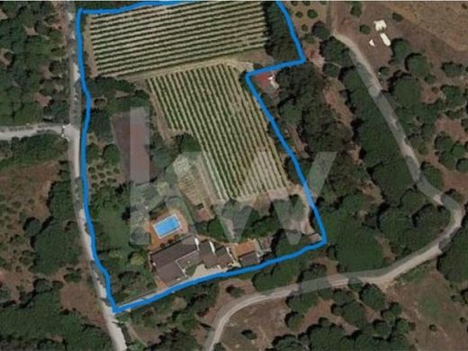 Luxury House for sale in Setúbal, 1 750 000 €, Photo 4