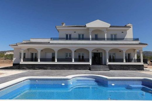 Luxury House for sale in Pinoso, 426 000 €, Photo 2