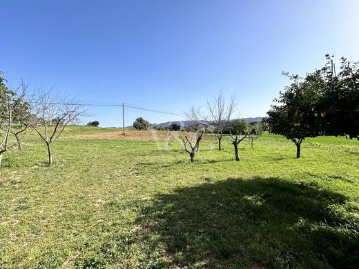 Maison de luxe à vendre à San Sadurní, 880 000 €, Photo 5