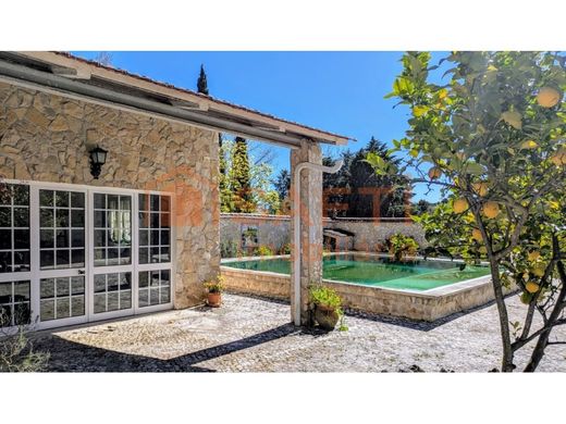 Maison de luxe à vendre à Santarém, 700 000 €, Photo 4