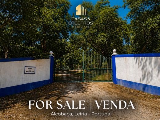 Maison de luxe à vendre à Alcobaça, 850 000 €, Photo 1