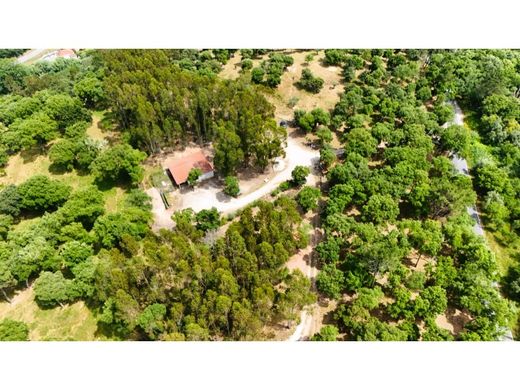 Maison de luxe à vendre à Alcobaça, 850 000 €, Photo 3