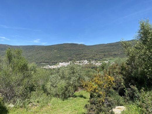 Maison de luxe à vendre à Gaucín, 950 000 €, Photo 4