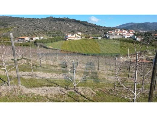 Maison de luxe à vendre à Vila Flor, 1 250 000 €, Photo 3