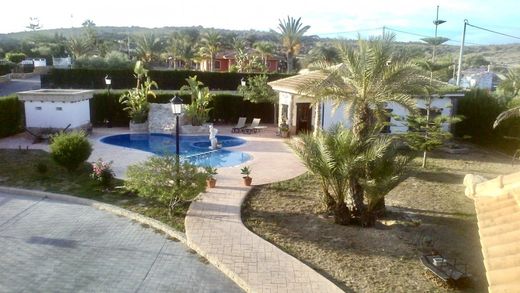 Maison de luxe à vendre à Elche, 1 690 000 €, Photo 6