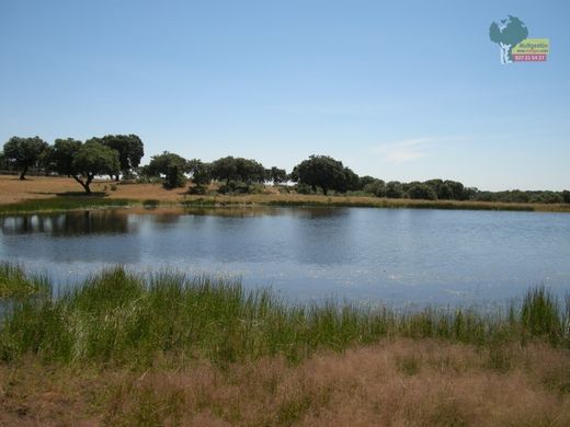 Luxury House for sale in Salorino, 4 500 000 €, Photo 4