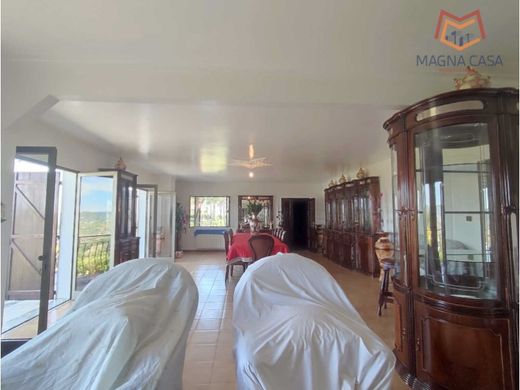 Maison de luxe à vendre à Sabrosa, 999 000 €, Photo 4
