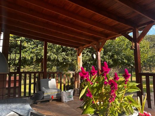 Maison de luxe à vendre à Maçanet de La Selva, 498 000 €, Photo 5