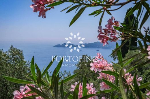 Maison de luxe à vendre à Zoagli, 4 400 000 €, Photo 5