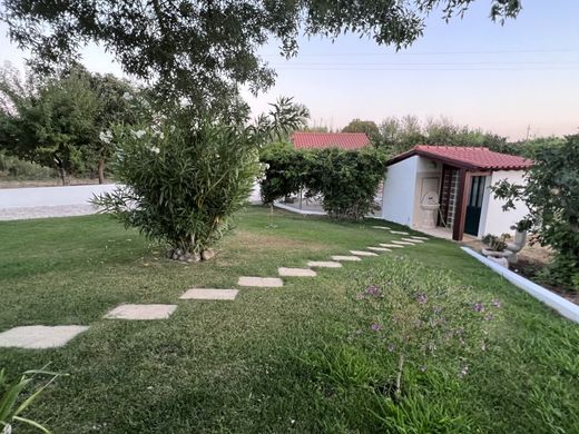 Maison de luxe à vendre à Tomar, 595 000 €, Photo 4