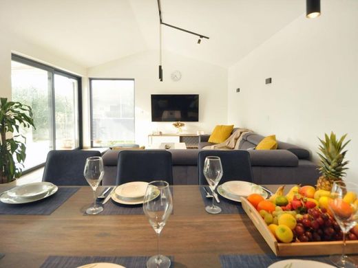 Maison de luxe à vendre à Šišan, 730 000 €, Photo 4
