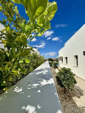 Luxury House for sale in Benijofar, 589 000 €, Photo 3