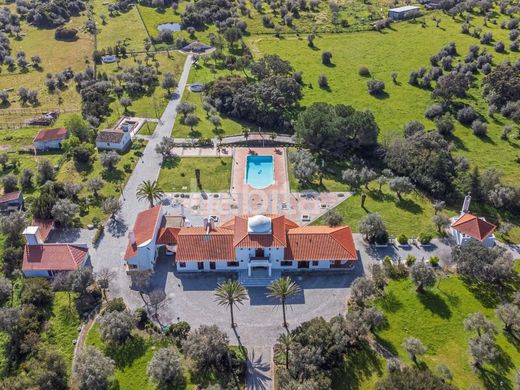 Maison de luxe à vendre à Évora, 2 000 000 €, Photo 5