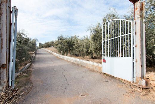 Maison de luxe à vendre à Loja, 2 100 000 €, Photo 5