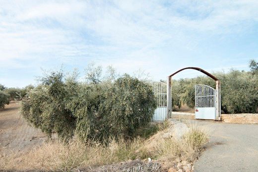 Maison de luxe à vendre à Loja, 2 100 000 €, Photo 2