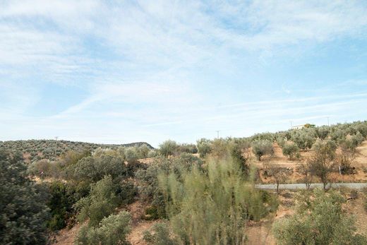 Maison de luxe à vendre à Loja, 2 100 000 €, Photo 7