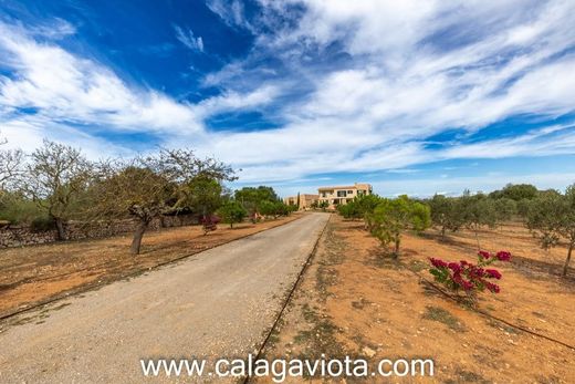 Maison de luxe à vendre à Ses Salines, 3 250 000 €, Photo 5