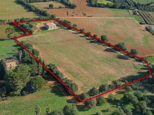 Maison de luxe à vendre à Felanitx, 550 000 €, Photo 3