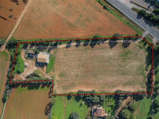 Maison de luxe à vendre à Felanitx, 550 000 €, Photo 2