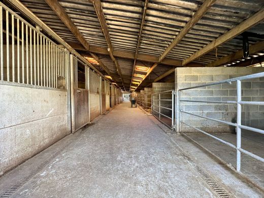 Luxury House for sale in Rebecq, 790 000 €, Photo 5