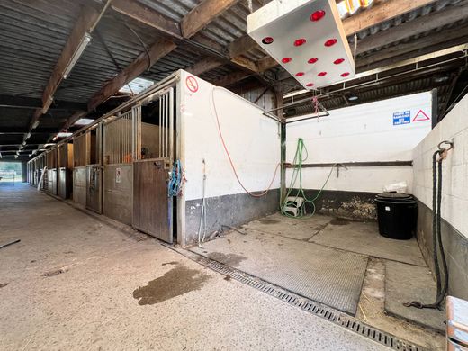 Luxury House for sale in Rebecq, 790 000 €, Photo 2