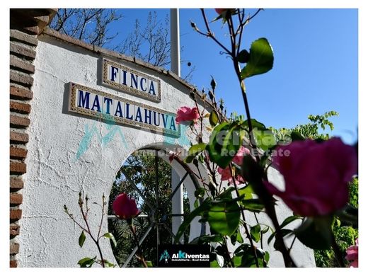 Maison de luxe à vendre à Olvera, 1 500 000 €, Photo 3