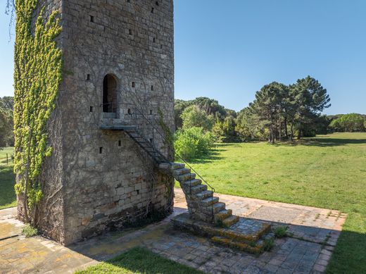 Maison de luxe à vendre à Mont-Ras, 3 950 000 €, Photo 3