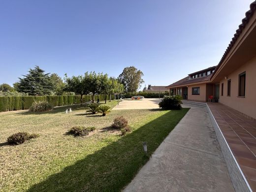 Maison de luxe à vendre à Almoster, 798 000 €, Photo 6
