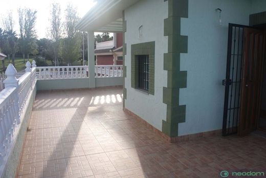 Luxury House for sale in Torrevieja, 550 000 €, Photo 3