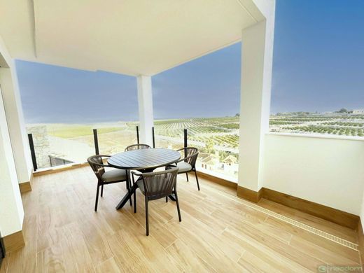 Luxury House for sale in Algorfa, 528 000 €, Photo 5
