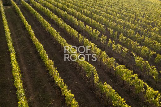 Maison de luxe à vendre à Radda In Chianti, 12 300 000 €, Photo 6