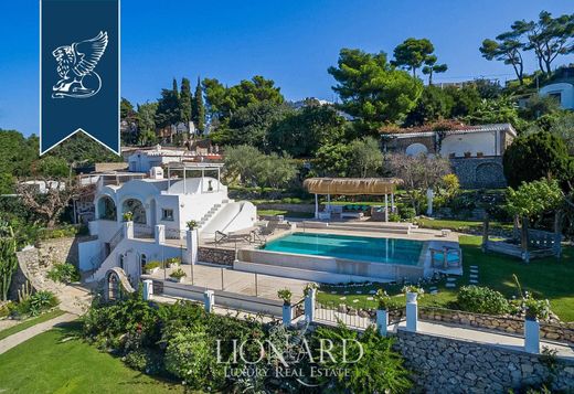Maison de luxe à vendre à Anacapri, 8 000 009 €, Photo 3