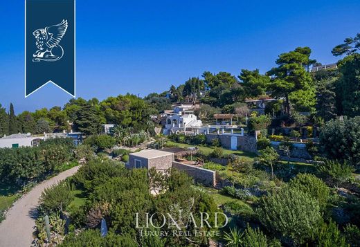 Maison de luxe à vendre à Anacapri, 8 000 009 €, Photo 6