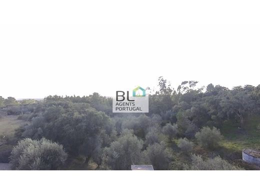 Maison de luxe à vendre à Tomar, 477 000 €, Photo 3