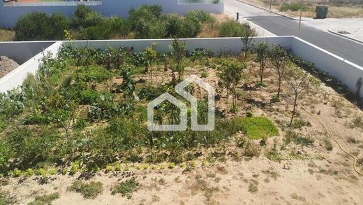 Maison de luxe à vendre à Torreira, 580 000 €, Photo 3