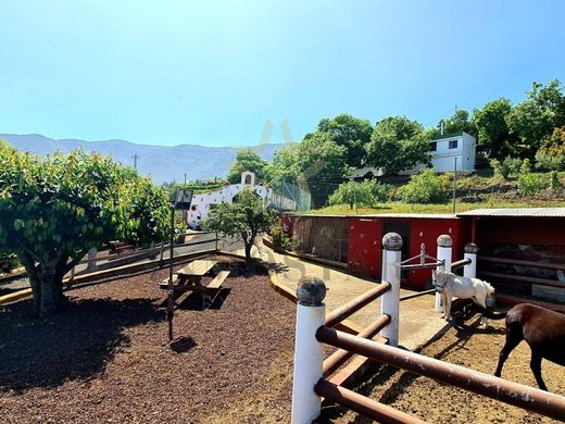 Maison de luxe à vendre à La Orotava, 750 000 €, Photo 3