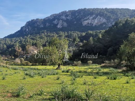 Maison de luxe à vendre à Esporles, 2 995 000 €, Photo 3