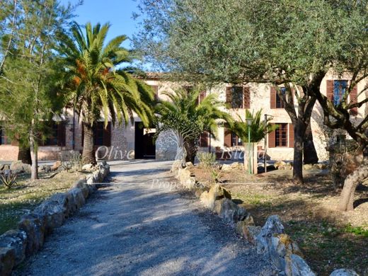 Maison de luxe à vendre à Manacor, 10 800 000 €, Photo 5