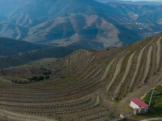 Luxury House for sale in Ervedosa Do Douro, 750 000 €, Photo 1