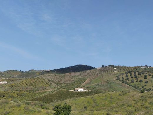 Maison de luxe à vendre à Almayate Alto, 1 600 000 €, Photo 6