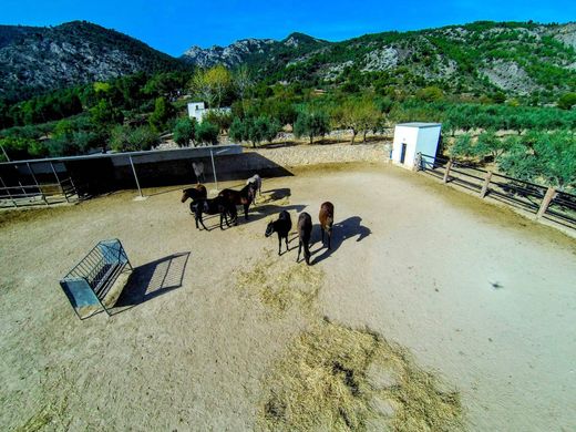 Maison de luxe à vendre à Muro Del Alcoy, 2 000 000 €, Photo 6
