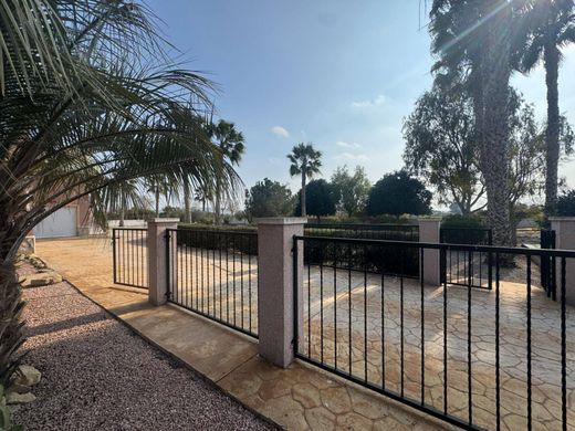 Maison de luxe à vendre à Daya Vieja, 450 000 €, Photo 2