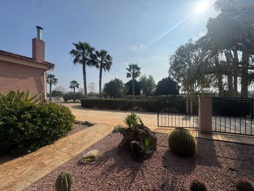 Maison de luxe à vendre à Daya Vieja, 450 000 €, Photo 6