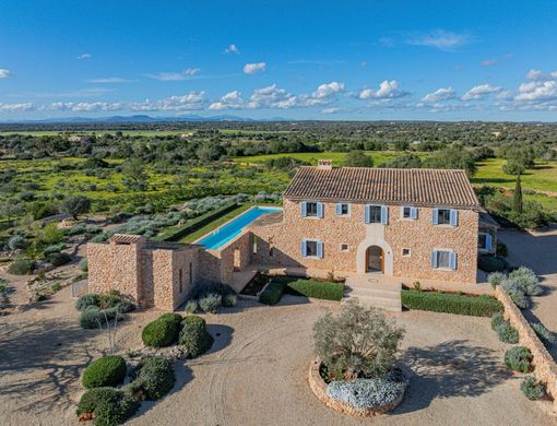 Maison de luxe à vendre à Llucmajor, 3 690 000 €, Photo 5