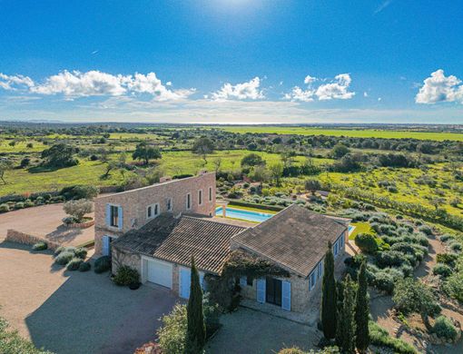 Maison de luxe à vendre à Llucmajor, 3 690 000 €, Photo 4