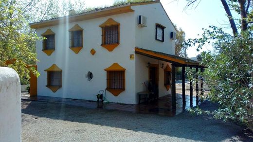 Maison de luxe à vendre à El Saucejo, 1 890 000 €, Photo 7